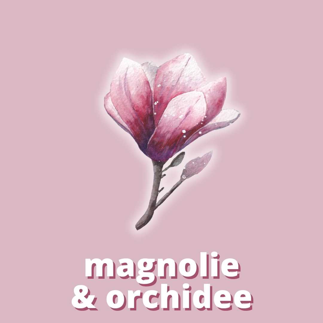 Magnolia & Orchid Fragrance