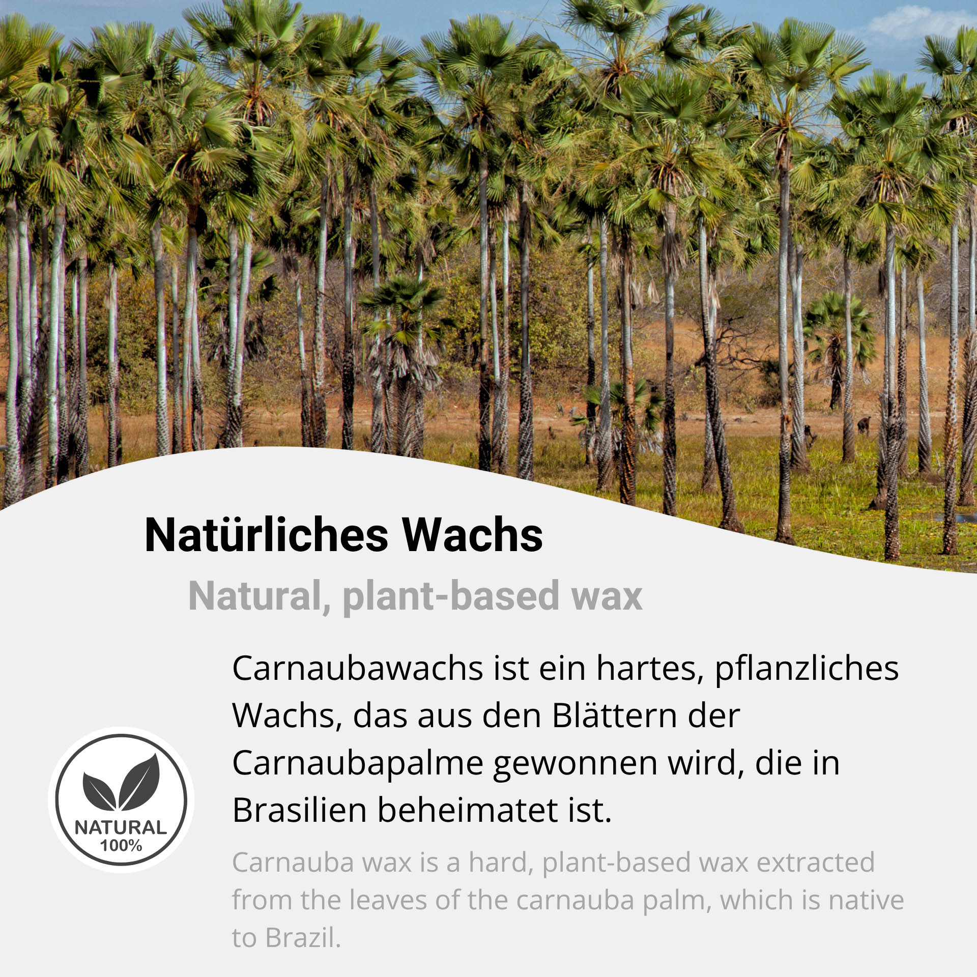 Carnaubawachs T3 Hellfettgrau Schuppen