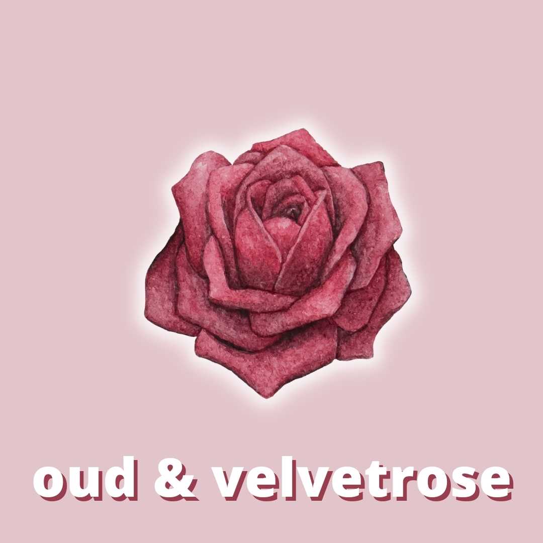 Oud & Velvetrose Duftstoff für Kerzen & Kosmetik