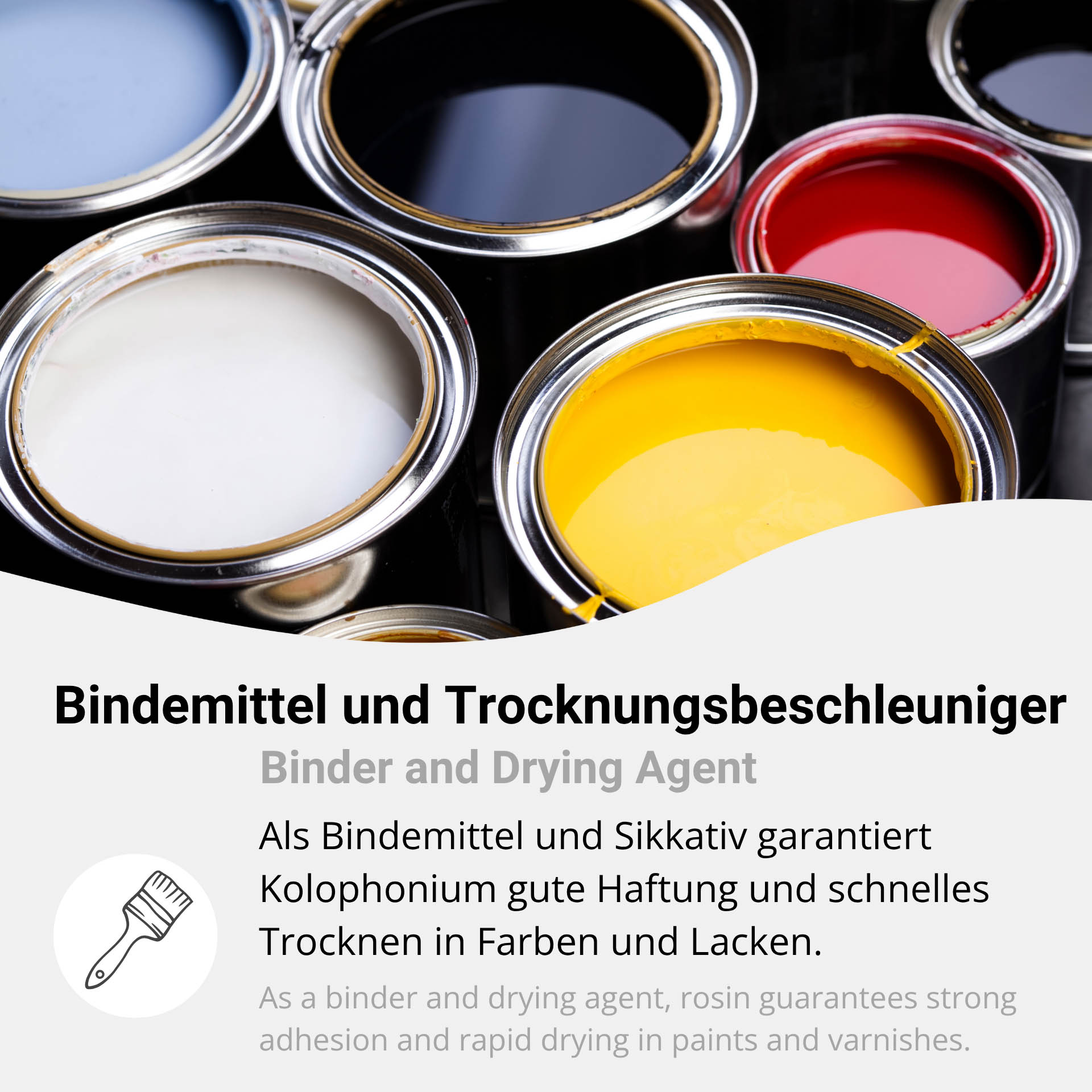 Kolophonium – Balsamharz Gum Rosin WW