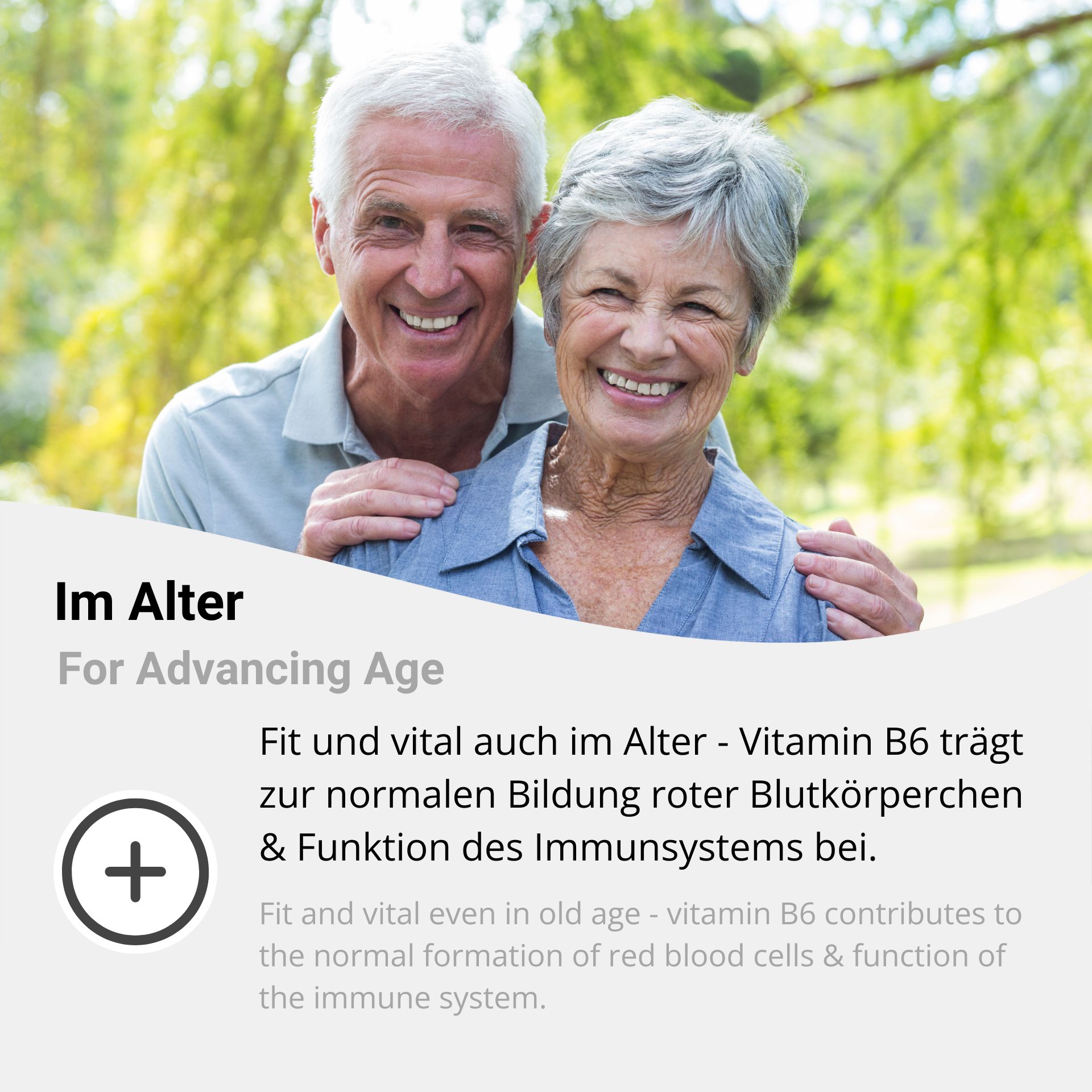 Vitamin B6 in old age