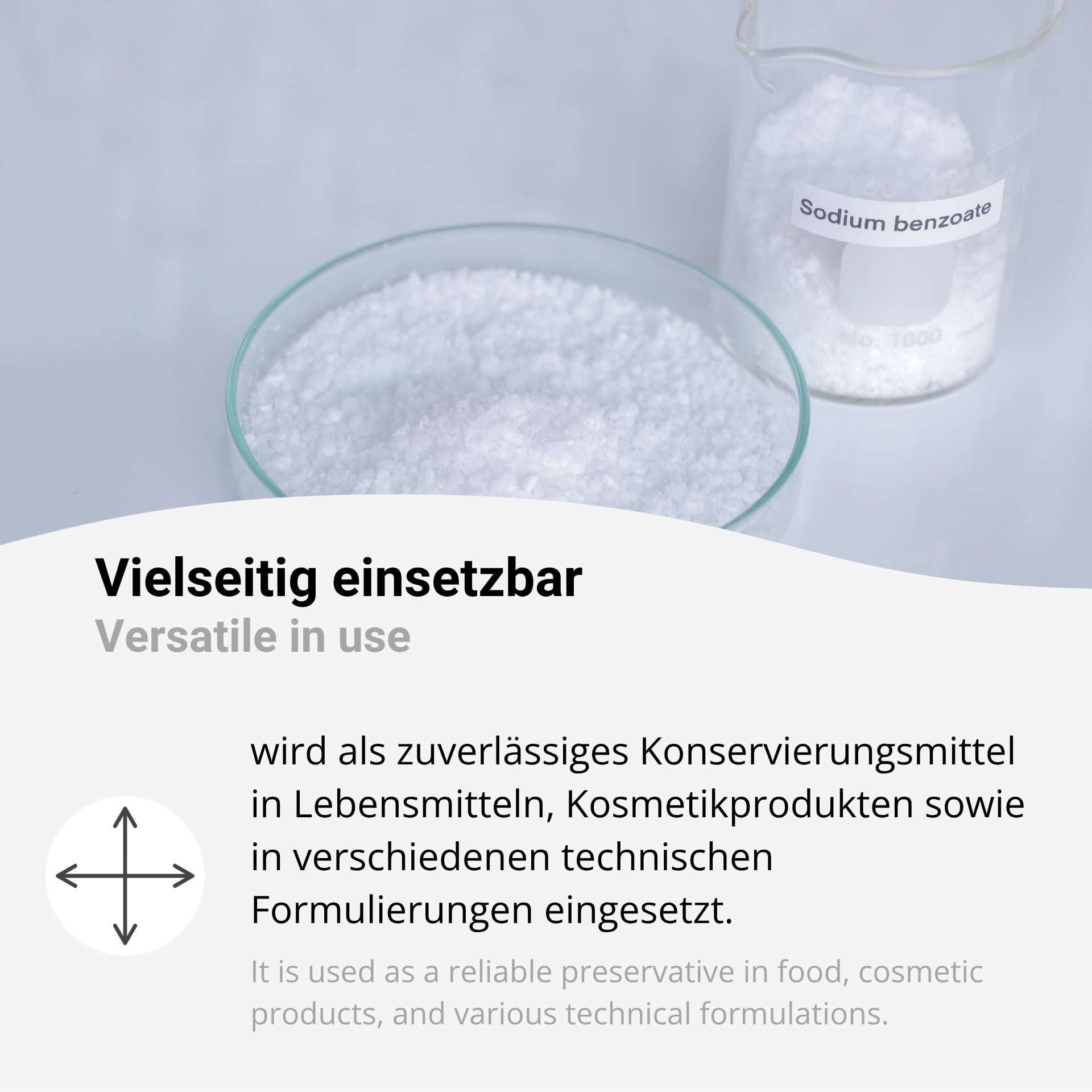 Sodium Benzoate E 211