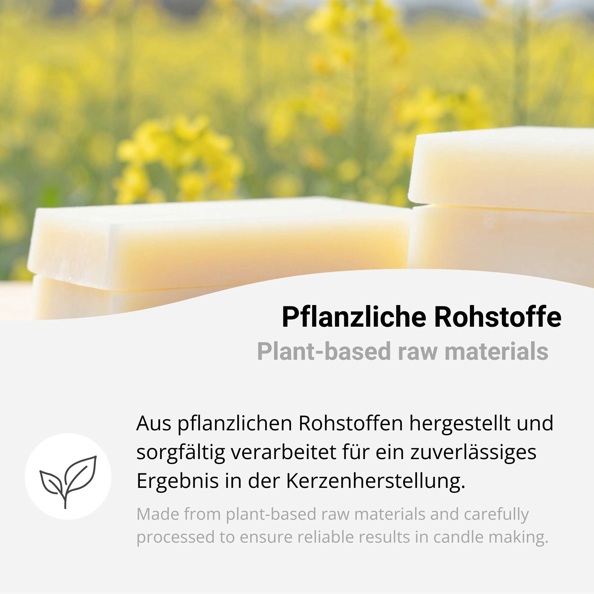 Rapswachs 5256 Platten