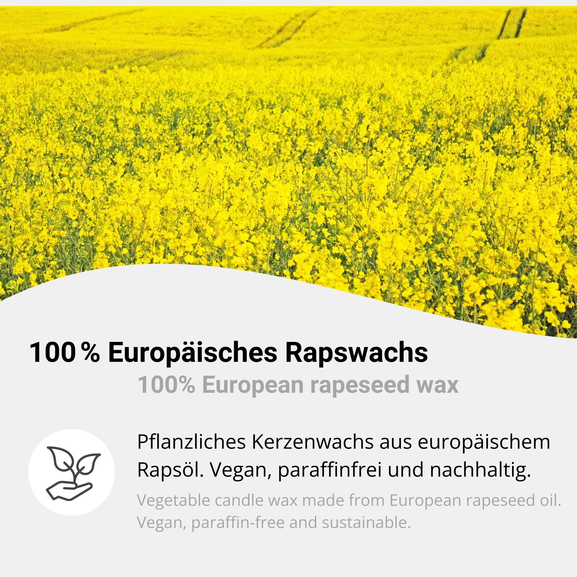 Golden Wax R45+ Rapswachs Pastillen für Kerzen