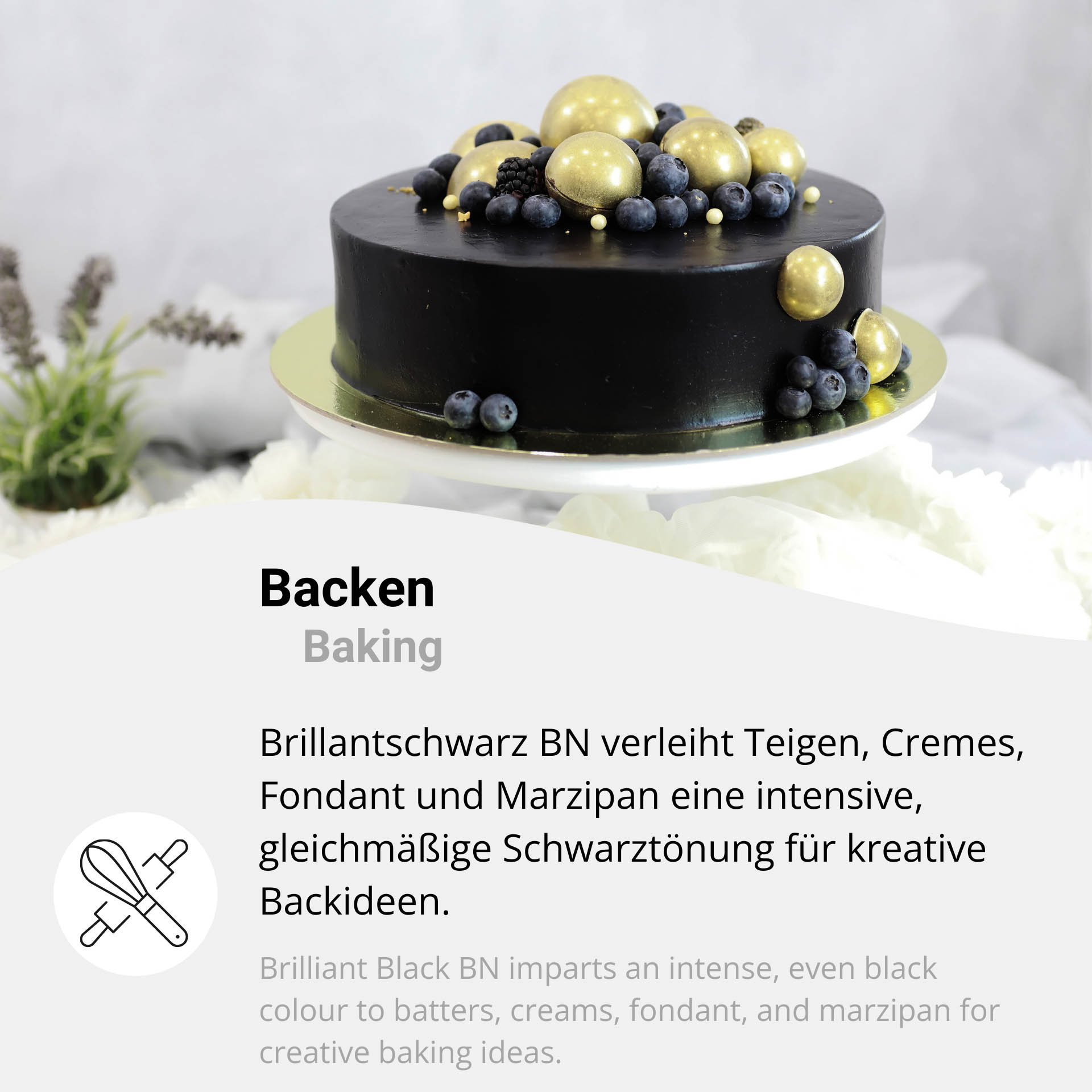 Brilliant Black BN Food Coloring Black – E 151