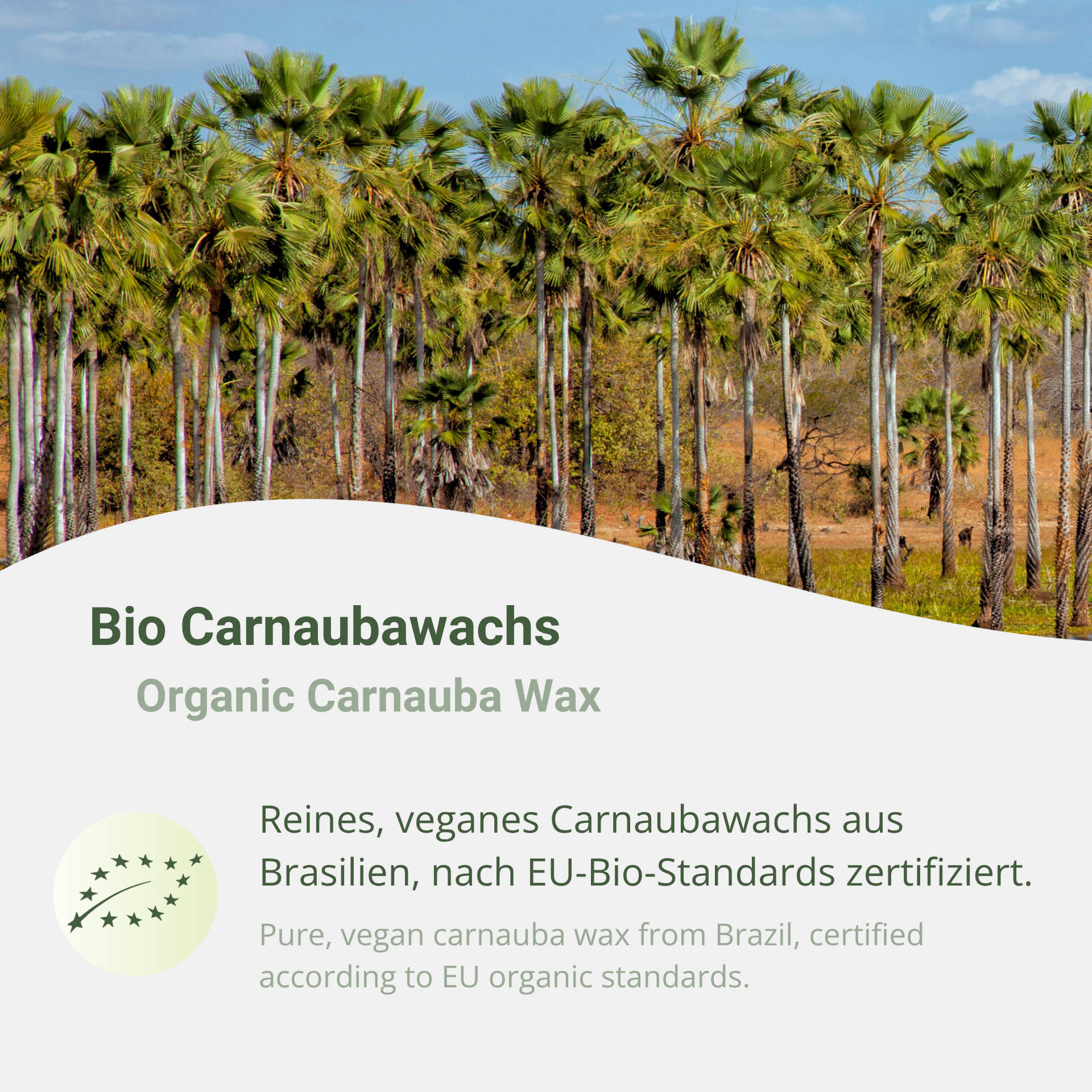 Bio Carnaubawachs T1 Primagelb Schuppen E 903